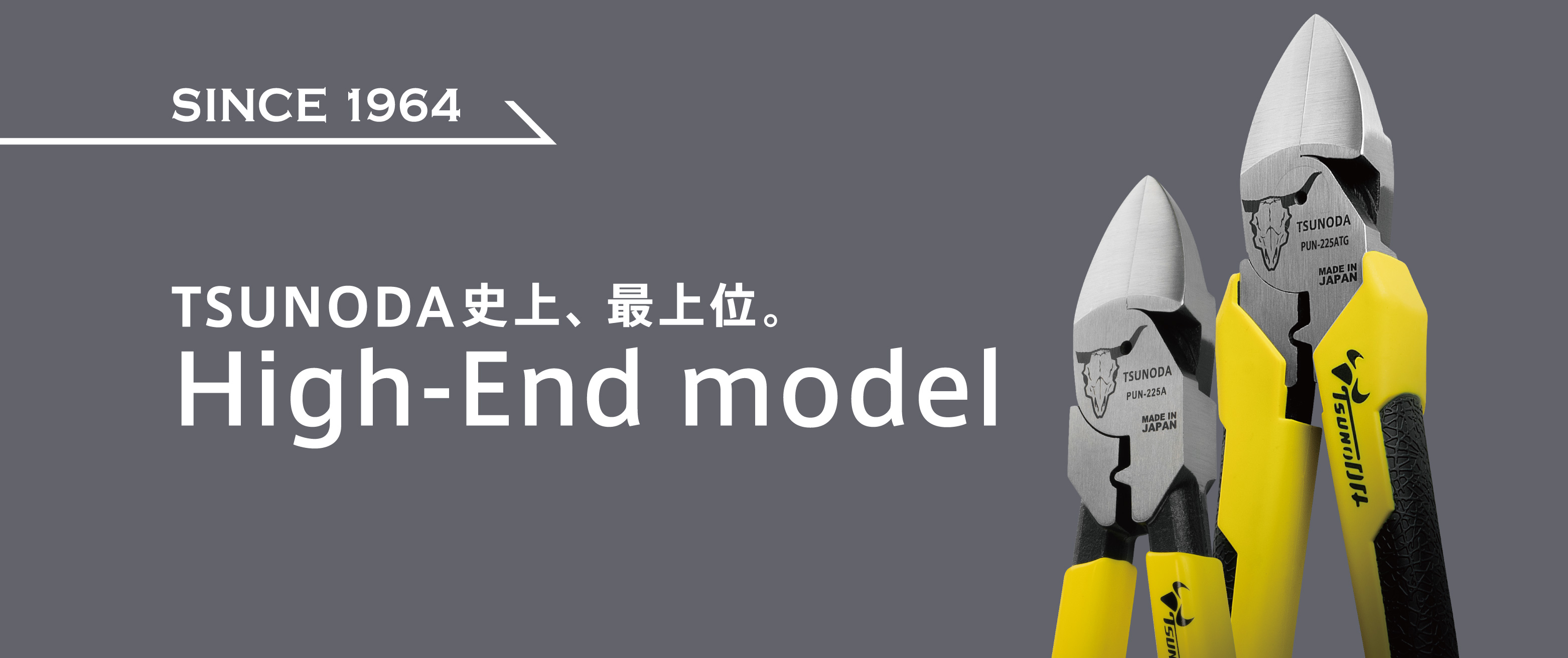 High-End_model